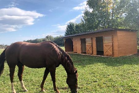 Dvojboxy se sedlovnou a seníkem